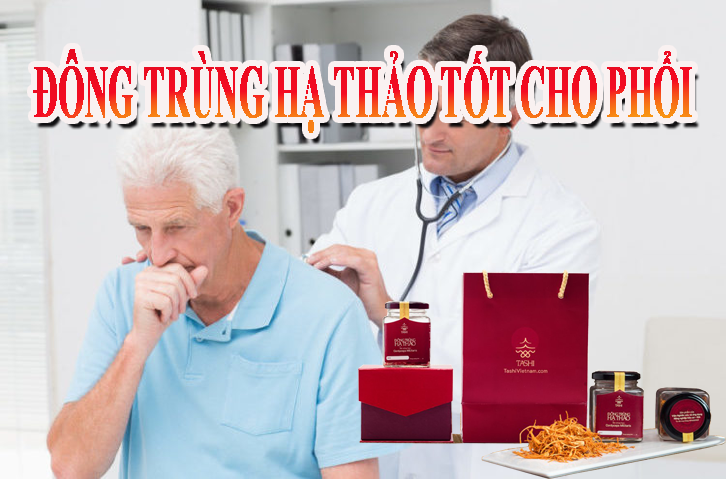 Đông trùng hạ thảo hỗ trợ bảo vệ phổi hiệu quả