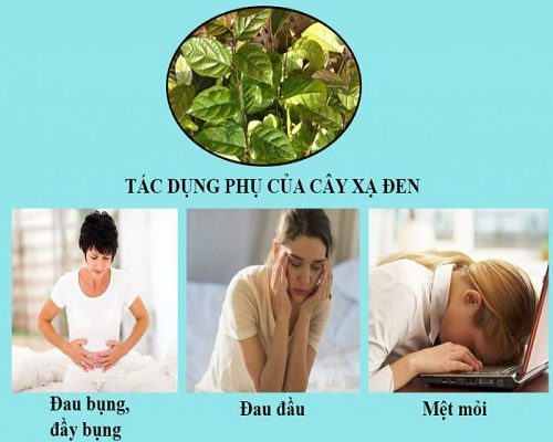 Những tác dụng phụ của cây xạ đen